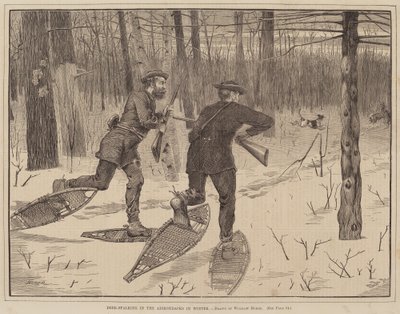 Kışın Adirondacks