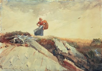 Uçurumun Aşağısı, 1883 by Winslow Homer