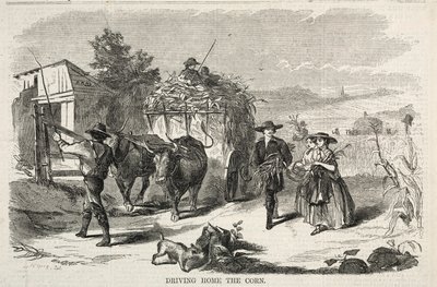 Mısırı Eve Götürmek by Winslow Homer