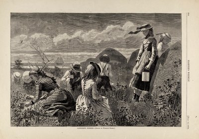  by Winslow Homer