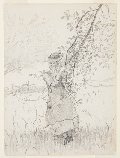Elma Ağacının Dalını Tutan Kız by Winslow Homer