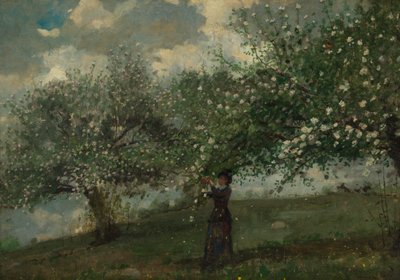 Elma Çiçeği Toplayan Kız by Winslow Homer