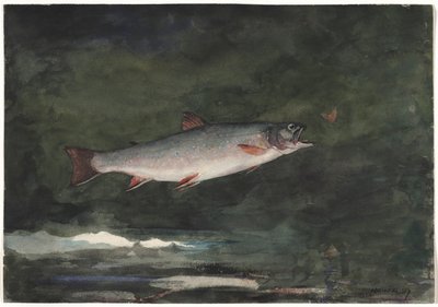 Sıçrayan Alabalık, 1889. by Winslow Homer