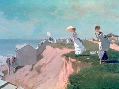 Uzun Şube, 1869 by Winslow Homer
