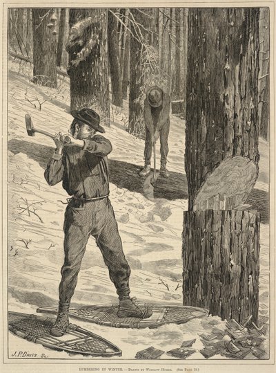  by Winslow Homer