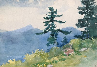 North Woods Club, Adirondacks (Kesintili Tete-a-Tete) by Winslow Homer
