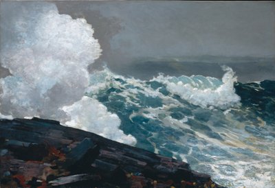 kuzeydoğu by Winslow Homer