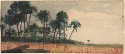 Palmiye Ağaçları, Kırmızı by Winslow Homer