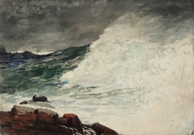  by Winslow Homer
