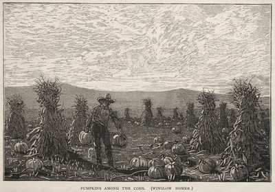 Mısırların Arasındaki Balkabakları by Winslow Homer