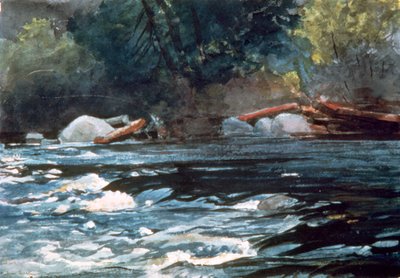 Rapids, Hudson Nehri, 1894 by Winslow Homer