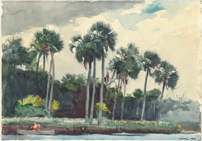 Kırmızı Gömlek, Homosassa, Florida, 1904. by Winslow Homer