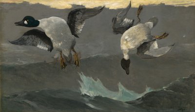 Sağ sol by Winslow Homer