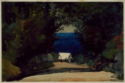  by Winslow Homer