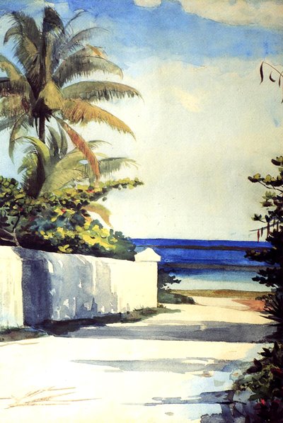 ನಸ್ಸೌದಲ್ಲಿ ರಸ್ತೆ, 1898-99 ಟರ್ಕ್ by Winslow Homer