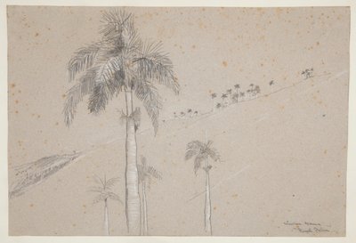 Kraliyet Palmiyesi, Küba by Winslow Homer