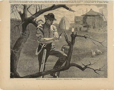  by Winslow Homer