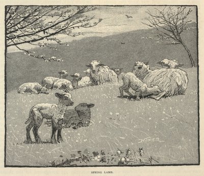  by Winslow Homer