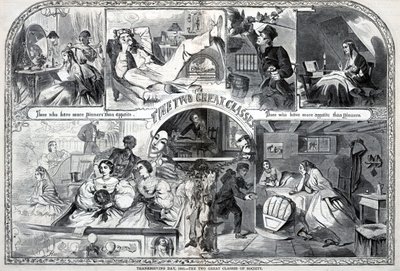 Şükran Günü, 1860, Toplumun İki Büyük Sınıfı, Harper
