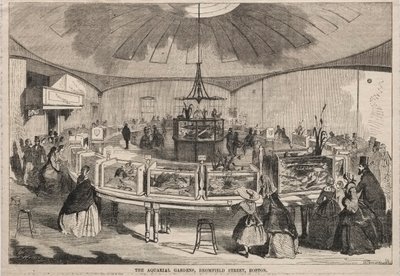 Akvaryum Bahçeleri, Bromfield Caddesi, Boston, 1859. by Winslow Homer
