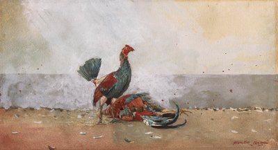horoz dövüşü by Winslow Homer