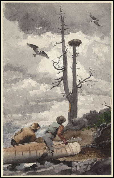 Kartal Yuvası, 1902 by Winslow Homer