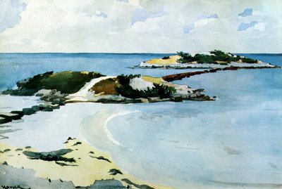 Favori, 1899-1901 (kağıt üzerinde wc ve kurşun kalem) by Winslow Homer