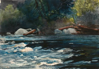 The Rapids, Hudson Nehri, Adirondacks by Winslow Homer