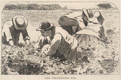  by Winslow Homer