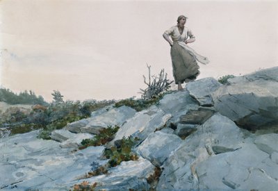 Dal Toplayıcı, 1883 by Winslow Homer