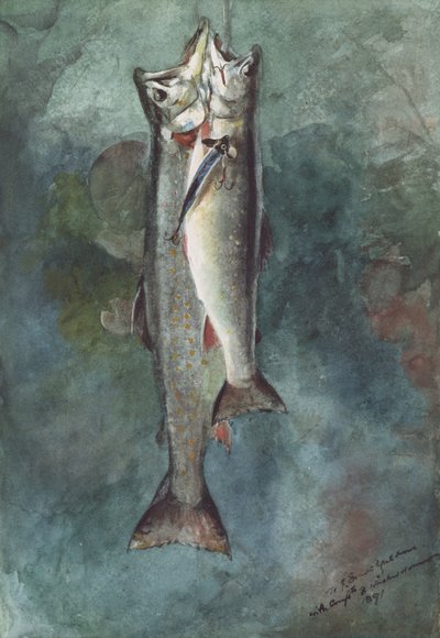 İki Alabalık, 1891 (kağıt üzerinde wc) by Winslow Homer