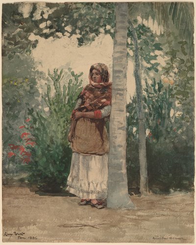 Palmiye Ağacının Altında by Winslow Homer
