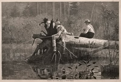 Bir Isırık Beklerken by Winslow Homer