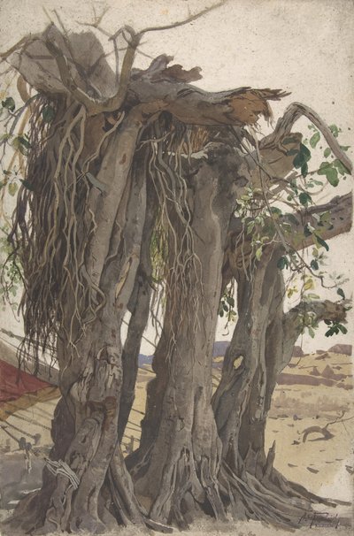 Hava Köklü Bir Kütük Çalışması, 19. yüzyılın ortaları ile 20. yüzyılın başları. by Woldemar Friedrich