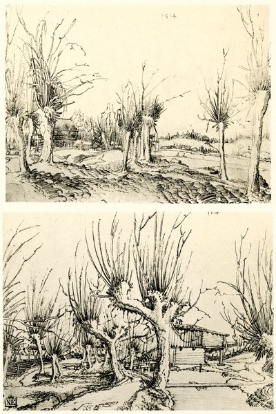 Söğüt ağaçları ile manzaralar by Wolf Huber