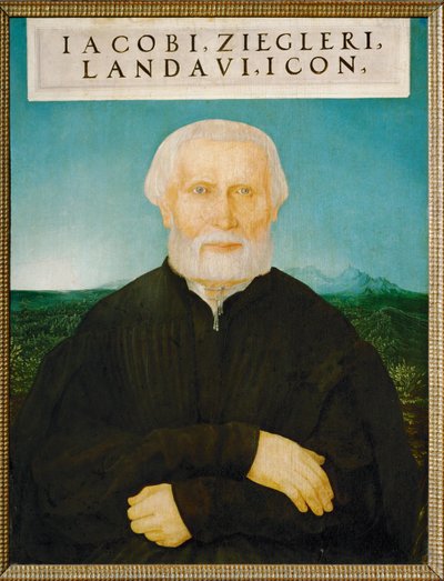 Hümanist Jakob Ziegler (kireç ağacı üzerine resim) by Wolf Huber