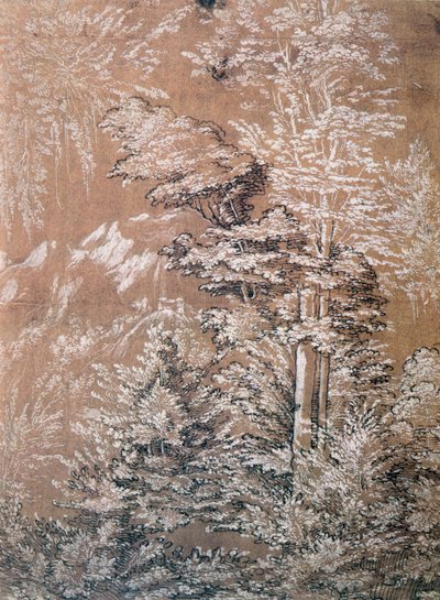 Ağaç Çalışması, 1519 by Wolf Huber