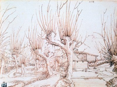 'Söğüt Ovası', 1514 by Wolf Huber