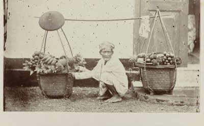meyve ile Cava taşıyıcı by Woodbury and Page