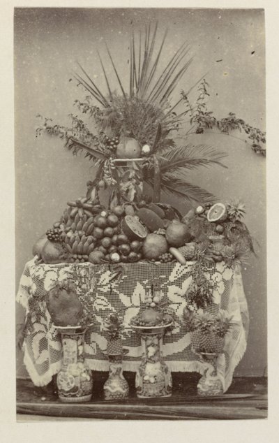 Tropikal meyvelerin natürmort by Woodbury and Page