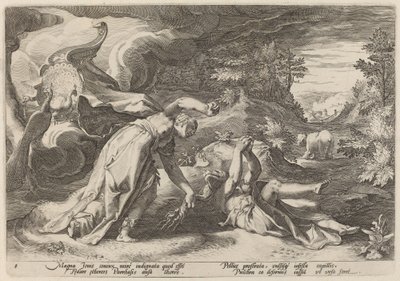 Juno, Callisto