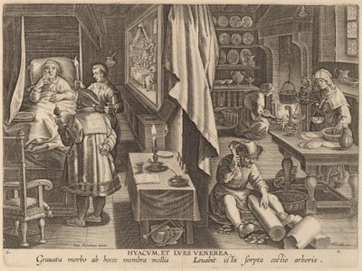 Hyacum ve Lues Venerea (Guaiacum ve Zührevi Enfeksiyon) by Workshop of Philip Galle after Jan van der Straet