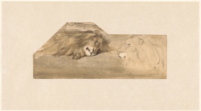 İki aslanın çalışmaları by Wouter Johannes van Troostwijk