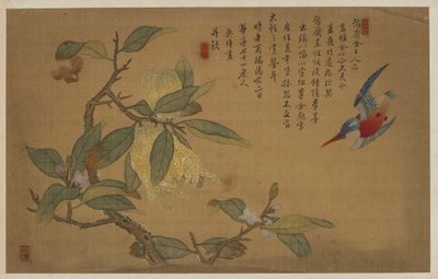 Kuş, Meyve ve Çiçekler, Qing hanedanı, 1741. by Wu Zhang