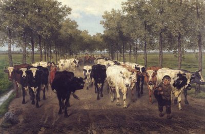 Gent'teki Meersstraat by Xavier de Cock
