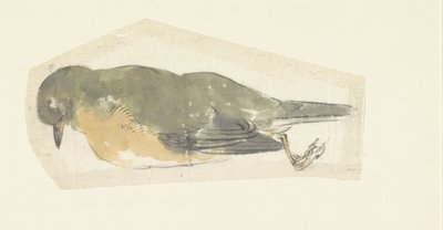 ölü robin by Yamamoto Shinryo Baiitsu
