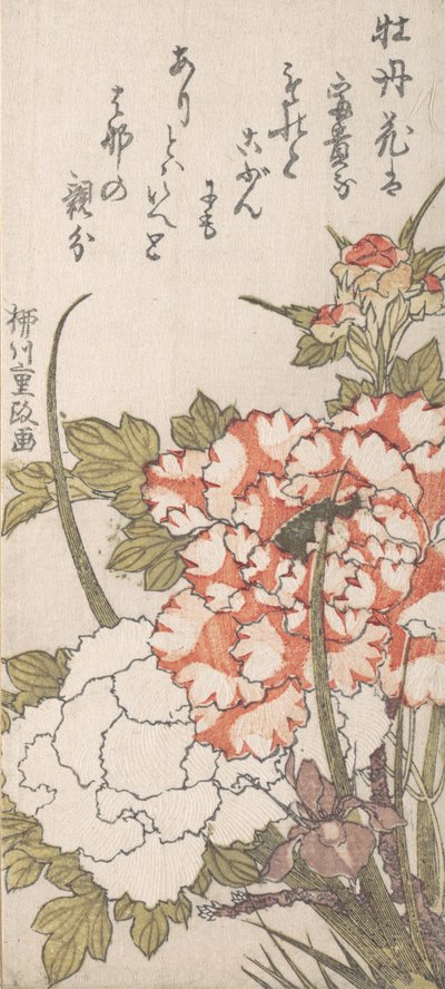Şakayık ve İris, 18.-19. yüzyıl. by Yanagawa Shigemasa