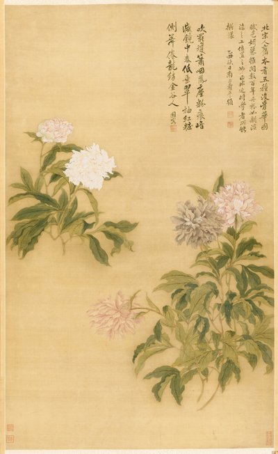 şakayık by Shouping Yun