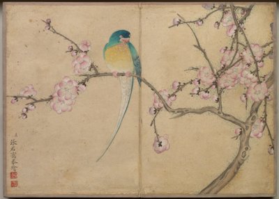  by Zhang Ruoai
