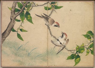 Masa Albümü: Çiçek ve Kuş Resimleri (Dedikoducu Serçeler) by Zhang Ruoai